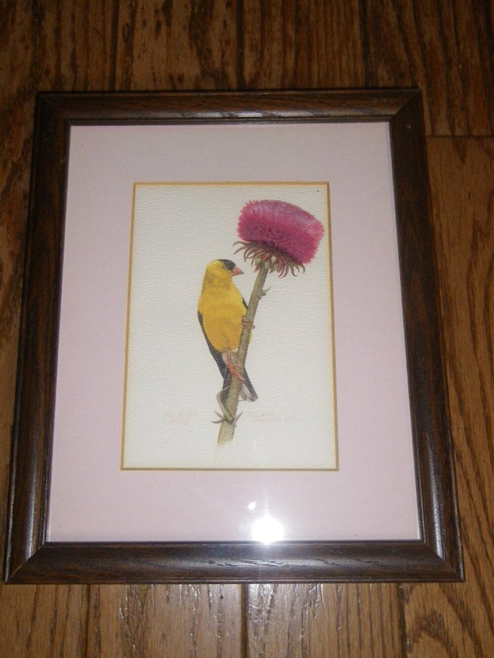 Vintage Framed Painting Gold Finch & Flower “For God’s Glory” Brenda Sawyer 85’
